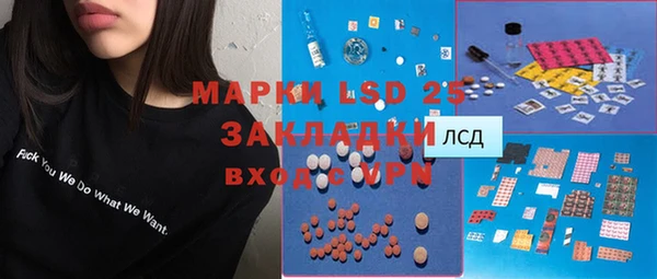трава Аркадак