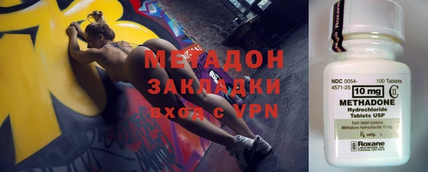 трава Аркадак