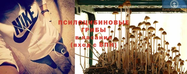 a pvp Арсеньев