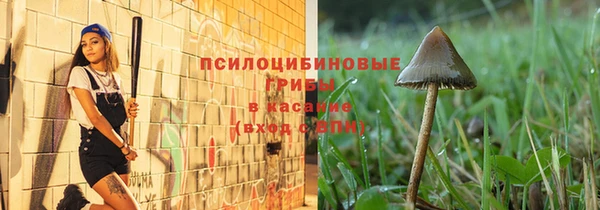 дживик Балахна